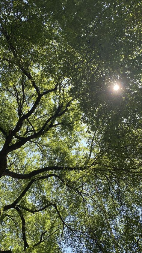 We Grow Together, Sky Photography Nature, Nature Forest, You're The Best, Grow Together, Alam Yang Indah, Alam Semula Jadi, Nature Aesthetic, Pretty Places