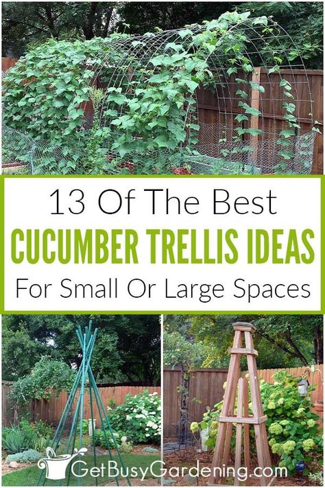 You may know the benefits of growing cucumbers on a trellis, but how do you know which is the best kind to use? There are tons of options for different types of cucumber trellis, and each has its advantages. In this guide on the 13 best DIY cucumber trellis ideas, you’ll be able to read through each option and understand which would work best for your space and why. Discover whether you need an a-frame, a teepee, an obelisk, or an arch, and get building your DIY support for your vines this year. Cucumber Trellis Ideas, Outdoor Trellis Ideas, Cucumber Trellis Diy, Teepee Trellis, Vegetable Trellis, Vertical Trellis, Garden Trellis Ideas, Cucumber Gardening, Small Trellis