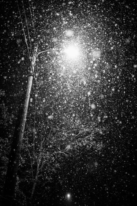 Black And White Esthetics Photos, Heavy Snow Aesthetic, Snow Under Street Light, Winter Black Aesthetic, White Night Aesthetic, Black Winter Aesthetic, Low Key Christmas, Snowy Paintings, Photo Series Ideas