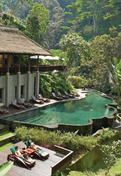 From holistic beach spa retreats, to spiritual forest sanctuaries, we share 5 of our best #spa holidays in #Bali.