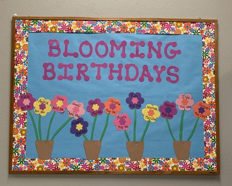 Blooming Birthdays April Birthday Bulletin Boards, Flower Birthday Board Classroom, Butterfly Birthday Bulletin Board Ideas, Blooming Birthday Bulletin Board, Garden Birthday Board Classroom, Spring Birthday Board Ideas, May Birthday Bulletin Board Ideas, April Birthday Board, April Bulletin Board Ideas For Work