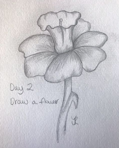 30 Day Drawing Challenge Day 2 - Daffodil  on We Heart It #drawing #challenge #pencil #sketch #beginner #hobby #art #flowers #floral #spring #daffodil Drawing Daffodils, Daffodil Flower Drawing, Daffodils Drawing, Sketch Beginner, Daffodil Drawing, Sketchbooks Ideas, Floral Drawings, Drawing Heart, Spring Drawing