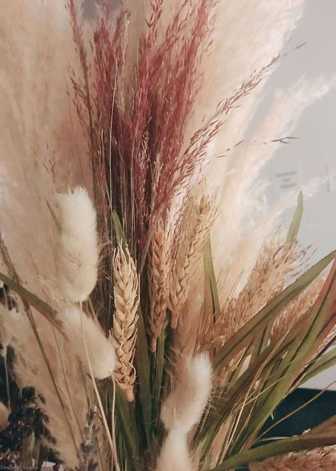 Pink Ruby Silk Grass | Dried Grasses and Florals | Afloral.com Pampas Gras, Dried Flower Bouquet, Dried Flower Arrangements, Lavender Flowers, Pampas Grass, Grasses, Wall Collage, Flower Power, Flowers Bouquet