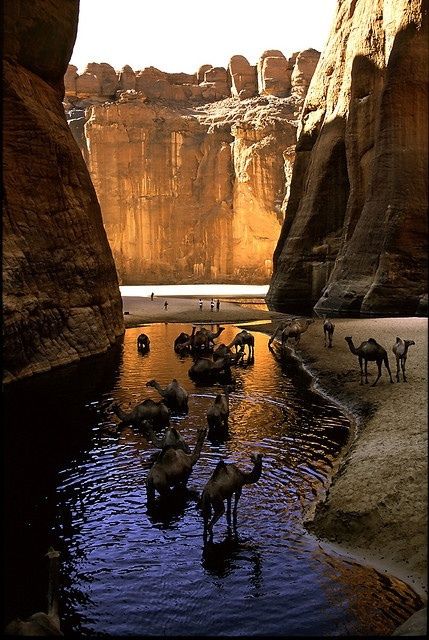 Camel Canyon, Chad | Flickr - Photo Sharing! Magic Places, Africa Travel, Oh The Places Youll Go, Crete, Places Around The World, Wonderful Places, Beautiful World, Wonders Of The World, Maui