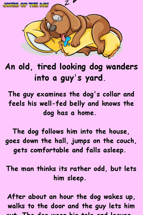 An old, tired looking dog wanders into a guy's yard.   The guy examines the dog's collar and feels his well-fed belly and knows the dog has a home.   The dog follows him into the house, goes down the hall, jumps on the couch, gets comfortable and falls asleep.   The man thinks its rather odd... Kindergarten Sequencing, Cool Jokes, Funny Stories For Kids, Childrens Prayer, Dog Texts, Funny Clean, English Stories For Kids, Elderly Activities, Clean Funny Jokes