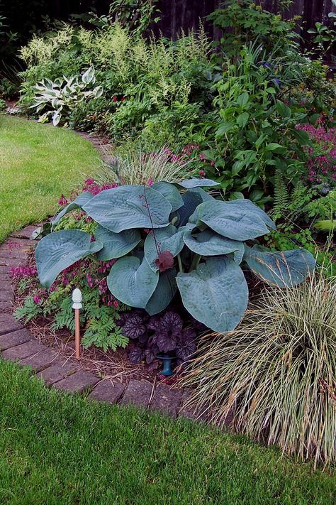 Shade Gardening, Corvallis Oregon, Large Patio, Garden Solutions, Fine Gardening, Garden Borders, Window Boxes, Shade Plants, Shade Garden