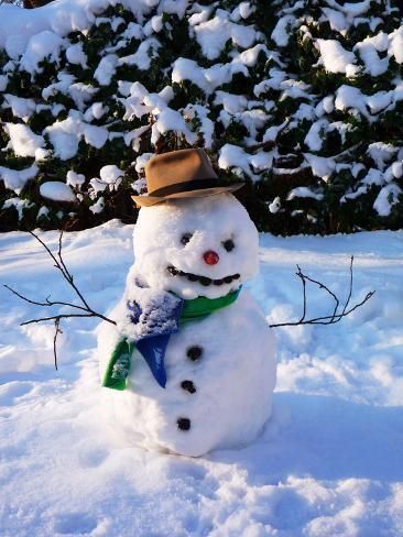 size: 24x18in Photographic Print: Snowman with Scarf and Hat in Winter Scene : Christmas Playing In Snow, Snowman Astethic, Christmas And Winter Aesthetic, Nastolgic Christmas, Winter Date Aesthetic, Winter Day Aesthetic, Cosy Christmas Aesthetic, Christmas Season Aesthetic, Luxury Christmas Aesthetic