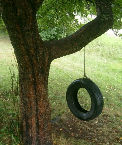 The Old Tire Swing Tire Swings For Kids, Tire Swings, Corn Field, Tire Swing, Old Tires, Tree Swing, English Cottage Garden, Farms Living, Down On The Farm