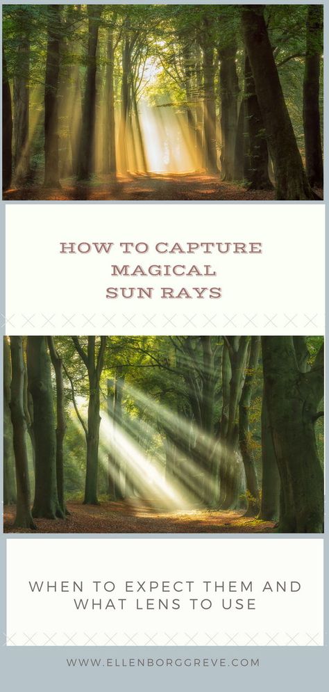 How to capture magical sun rays. Sun rays make every forest scene looks enchanted and magical. How to photograph these heavenly sunbeams, when to capture them, what lens to use and what conditions to look out for... Sunlight Photography, Creative Advertising Photography, Photo Lessons, Photography Settings, Photography Cheat Sheets, How To Photograph, Light Rays, Photography Basics, Photography Tips For Beginners