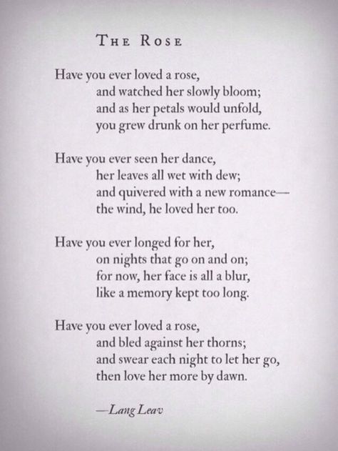 Love, lust, and other quotes Lang Leav Poems, Rose Quotes, Lang Leav, The Poem, Poetry Words, A Poem, Poem Quotes, Love Poems, Poetry Quotes