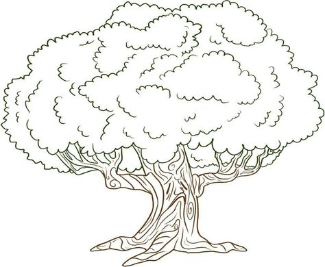 Tree Coloring Pages Pictures Live Oak Tree Tattoo, Oak Tree Drawings, Trees Drawing Tutorial, Oak Tree Tattoo, Tree Coloring, Tree Outline, Drawing Pictures, Picture Tree, Simple Tree