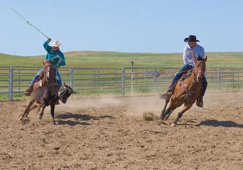 Roping Horse, Calf Roping, Team Roping, George Strait, Western Horse, Left Hand, Rodeo, A Team, To Win