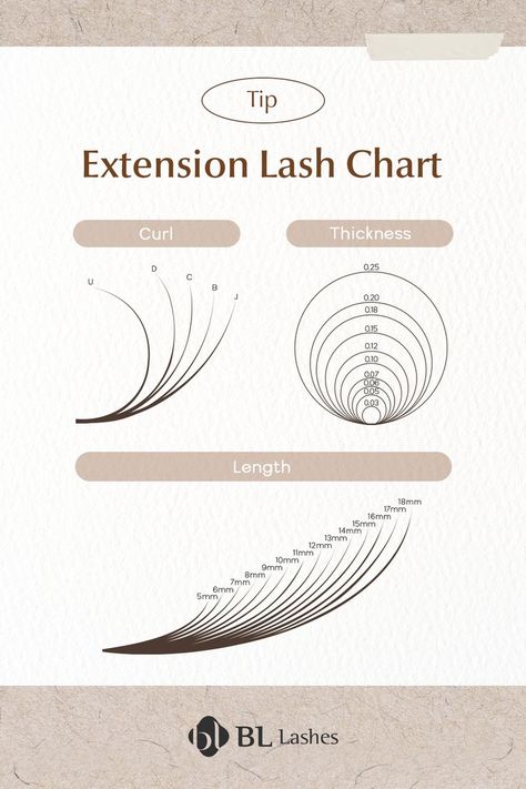 lash extension curl, lash extension length, lash extension thickness Bottom Lash Extensions, Lash Curls, Hooded Eyelids, Droopy Eyelids, Russian Volume Lashes, Natural Mascara, Volume Lash Extensions, Eyelash Extension Supplies, C Curl