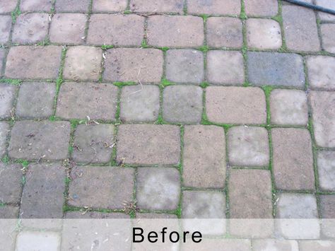 Should I seal my pavers | Do pavers have to be sealed | The ... How To Clean Pavers Patio, Paver Painting Ideas, Stained Pavers, Painted Pavers Ideas, Paint Pavers, Sealing Pavers, Patio Redo, Paver Sealer, Grey Pavers