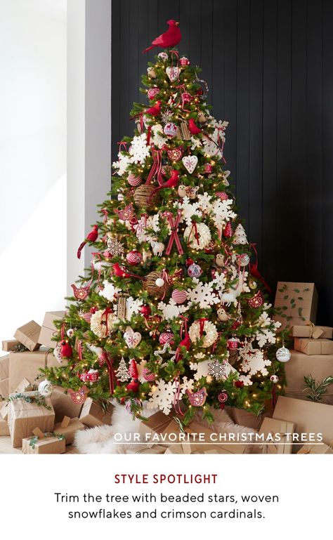 Christmas Tree Pampas, Pottery Barn Christmas Tree, Barn Christmas, Christmas Hampers, Pottery Barn Christmas, Holiday Lookbook, Hanukkah Decorations, Christmas Tree Ideas, Jolly Christmas