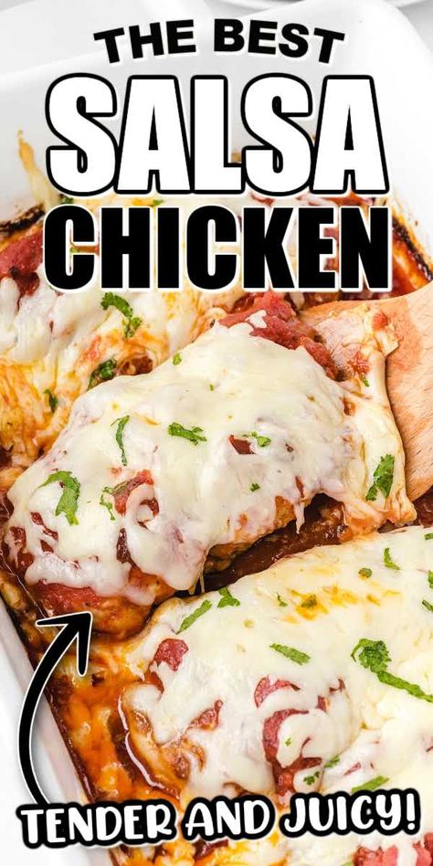 Chicken With Salsa And Cheese, Chicken Recipes With Salsa, Salsa Chicken Oven, Chicken Salsa Bake, Chicken Salsa Crockpot, Recipes Using Salsa, Cream Cheese Salsa Chicken, Chicken And Salsa Recipe, Chicken With Salsa Recipe