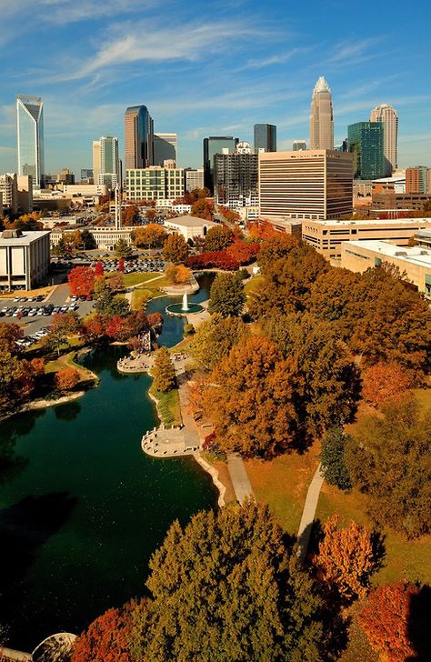 We love Charlotte's trees! Autumn skyline in Charlotte, NC | Patrick Schneider | Charlotte NC Photography Charlotte Skyline, Nc Photography, Carolina Do Norte, North Carolina Travel, Budget Vacation, North Carolina Homes, Autumn Scenes, Charlotte North Carolina, Chapel Hill