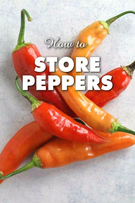 How To Store Thai Chili Peppers, How To Store Peppers From Garden, Storing Peppers From Garden, Best Way To Store Peppers, What To Do With Peppers From The Garden, Storing Peppers, Store Peppers, How To Store Peppers, Preserving Peppers