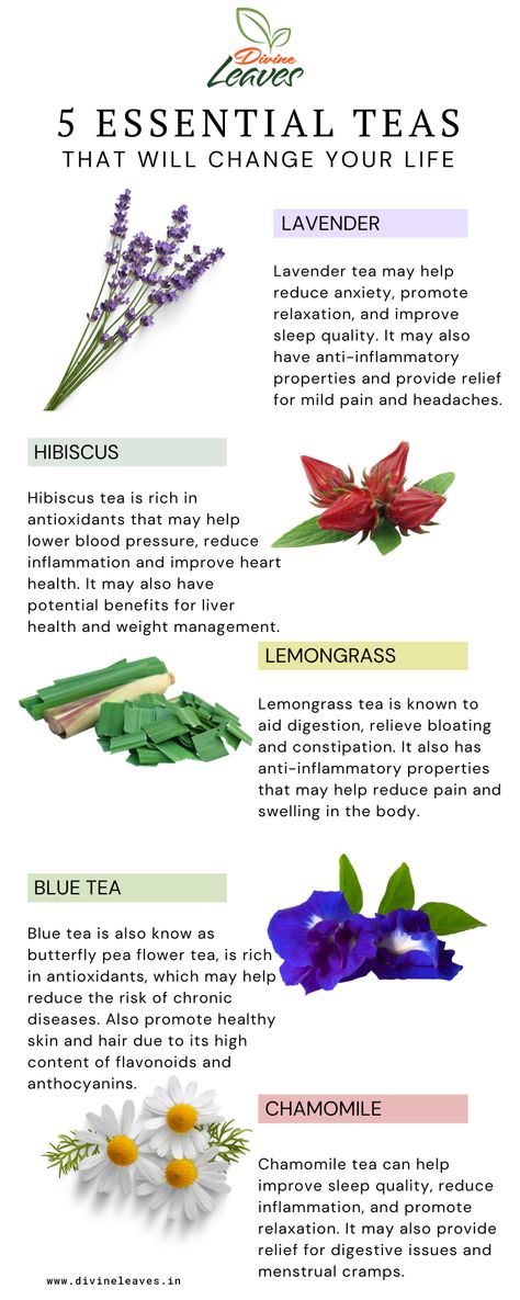 herbal tea, flower tea, lavender tea, hibiscus tea, chamomile tea, blue tea, lemongrass tea Benefits Of Lemongrass Tea, Tea Add Ins, Blue Tea Aesthetic, Lemon Grass Tea Benefits, Lavender Tea Benefits, Herbs For Tea, Elderflower Tea, Herbal Tea Recipes, Lemongrass Plant