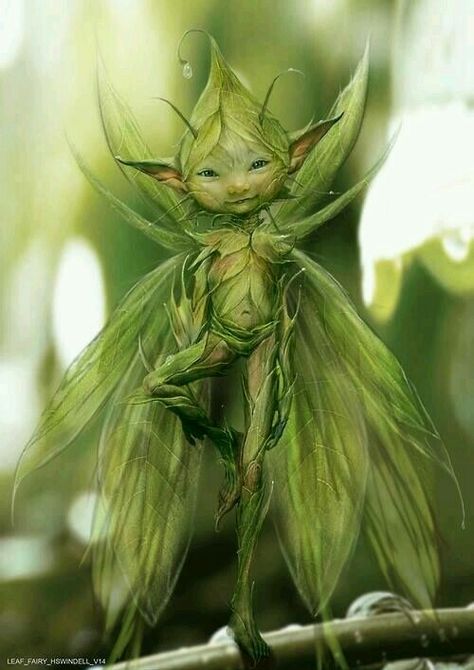 sprite Green Fairy, Elves And Fairies, 3d Street Art, Fairies Elves, Fairy Magic, Mystical Creatures, Arte Fantasy, 판타지 아트, Fairy Art