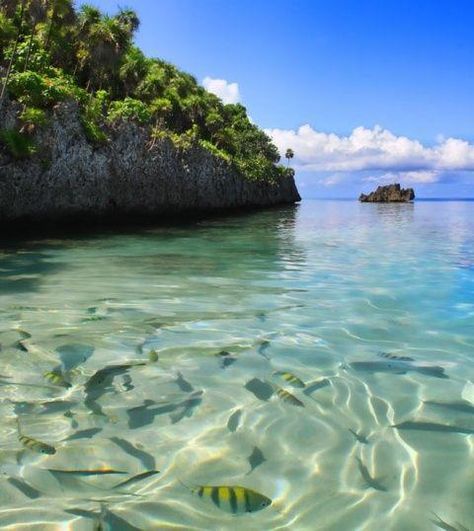 Roatan Island, Honduras. The water was turquoise. I've never seen water so pure and blue. Honduras Travel, Roatan Honduras, Tegucigalpa, West Bay, Roatan, Crystal Blue, To Infinity And Beyond, Amazing Places, Central America