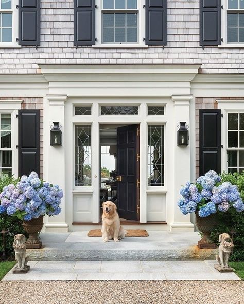 Cape Cod House Exterior, Shingle Style Architecture, Hamptons Aesthetic, Cape Cod Home, Glam Pad, Cape Cod Style, Blue Hydrangeas, Cape House, Cape Cod House