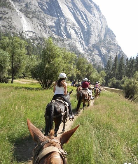 Horse back riding Family Horse Riding, Mule Riding, Yosemite National Park Lodging, Horse Back Riding, Yosemite Trip, Trail Ride, Yosemite Park, Mammoth Cave, Free Ride