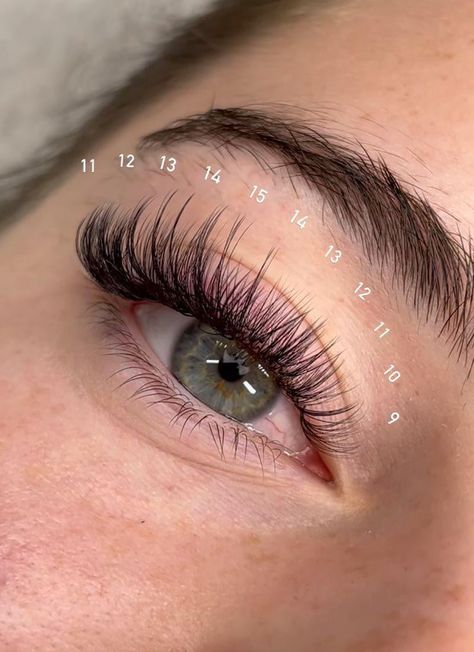 Dramatic Hybrid Lash Extensions, Eyelash Extensions With Numbers, Lash Maps Hybrid, Eyelash Extensions Numbers, 13mm Lash Extensions, Eyelash Extensions Styles With Numbers, D Curl Lash Extensions Mapping, Natural Full Lash Extensions, Cc Curl Lash Extensions