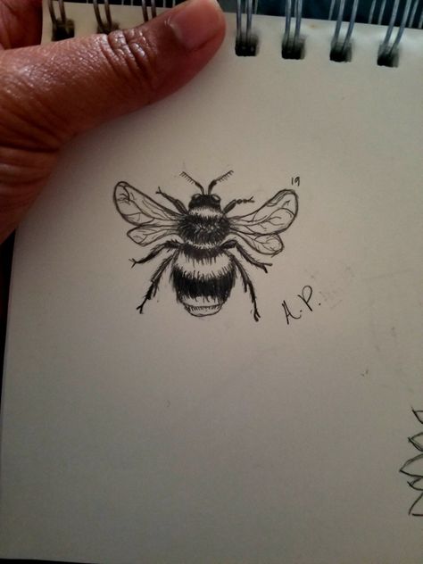 Bumblebee Sketch, Tattoo Markers, Bee Sketch, Evolution Tattoo, Pencil Tattoo, Bumble Bee Tattoo, Bee Drawing, Sketch Pencil, Bee Tattoo