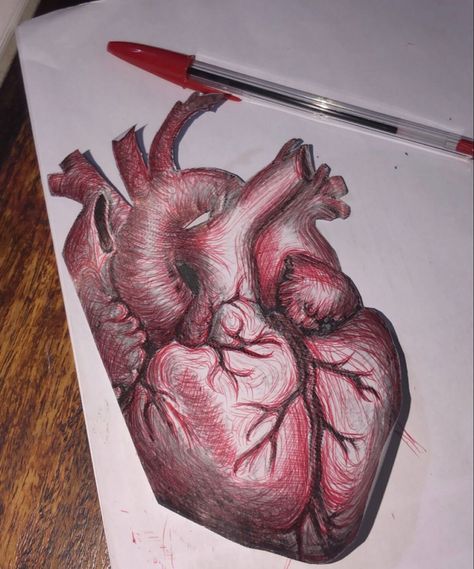 Biro Art Gcse, Drawing With Red Pen, Biro Pen Drawing, Heart Pen Drawing, Red Pen Sketch, Red Pen Art, Red Pen Drawings, Red Ink Drawing, Biro Sketches