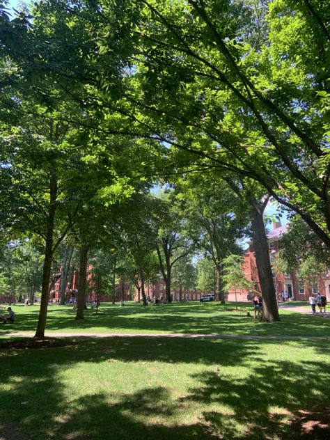 Harvard Summer School, Harvard Campus Aesthetic, College Campus Aesthetic, Harvard Aesthetic, Harvard University Campus, Harvard Campus, Campus Aesthetic, Student Lifestyle, Academy Aesthetic