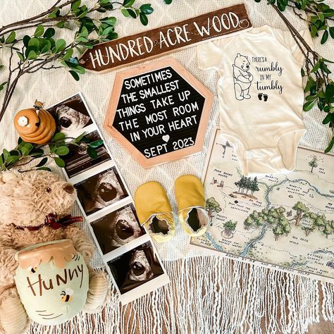 Winnie The Pooh Twin Nursery, Winnie The Pooh Birth Announcement, Pooh Bear Room, Baby Shower Whinnie The Poo, Funny Baby Announcement To Parents, Pooh Bear Themed Nursery, Baby Announcement Winnie The Pooh, Winnie The Pooh Announcement, Winnie The Pooh Baby Announcing Ideas