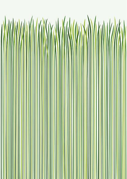 Grass Illustration Pattern, Grass Graphic Design, Royalty Free Art, Grass Artwork, Grass Graphic, Grass Drawing, Grass Illustration, Grass Vector, Grass Design