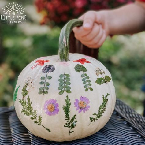 How to Decorate Pumpkins with Pieces of Nature • Little Pine Learners Sensory Writing, Decorate Pumpkins, Flower Pumpkin, Leaf Lantern, No Carve Pumpkin Decorating, Pumpkin Carving Designs, Pressed Flower Crafts, Wizard Hat, Pretty Pumpkins