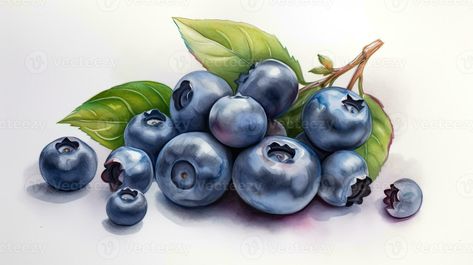 Drawing Fruit, Fruit Drawing, Fruits Drawing, Fruits Images, Fruit Painting, 수채화 그림, Best Fruits, Fruit Art, Kitchen Art