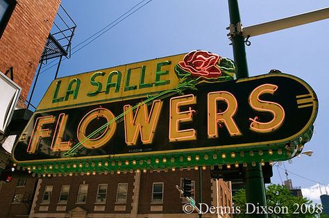 La Salle Flowers vintage neon sign in  Chicago, IL. ~ I would collect old Flower shop signs and display them in my studio. Neon Shop Sign, Flower Signage, Flower Shop Sign, Chicago Signs, Flower Seller, Old Neon Signs, Audrey Ii, Ideas For Flowers, Retro Signs