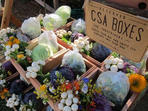 Farm Market Ideas, Csa Farm, Csa Box, Farmers Market Display, City Gardens, Farming Business, Farm Business, Future Farms, Vegetable Garden Diy