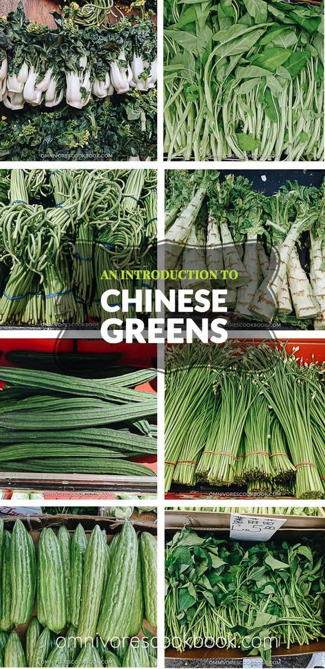 An introduction to Chinese greens, how they look like, how to store, how to prep and cook with them, and related recipes. Asian Greens, Chinese Vegetables, Tanaman Pot, List Of Vegetables, Mapo Tofu, Asian Vegetables, Chinese Greens, Healthy Recipes Easy Snacks, Asian Flavors