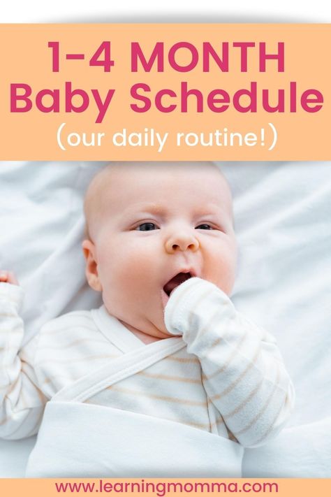 7 Month Old Schedule, 2 Month Old Schedule, 3 Month Old Sleep, Baby Schlafplan, Three Month Baby, Three Month Old Baby, 2 Month Old Baby, Baby Wise, Baby Routine