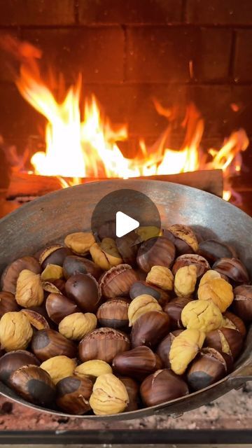 Lexi Harrison & Beth Sinclair on Instagram: "Roasted Chestnuts for Day 24 (the last day!) of our Recipe Advent Calendar 🎄and a HUGE thank you for all of your support this year (and especially this month!!) 

We’re so grateful for all of the positive feedback we’ve seen from this series and we’ll definitely be bringing it back next year, so let us know what you want to see 🫶 

Here are a few pointers on making roasted chestnuts (not over a fire, because you need some special equipment for that!) 

We use American chestnuts (grown in our home state: Michigan!), so note that other varieties of chestnuts may have different outcomes.

Start by scoring the chestnuts on the rounded side of each nut. Use a paring knife and apply a good amount of pressure - just enough to pierce the outer skin. Crowded Kitchen, American Chestnut, Roasted Chestnuts, Christmas Cakes, Paring Knife, Know What You Want, The Last Day, So Grateful, Christmas Cake