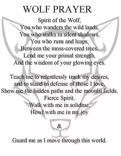 Wolf Moon Affirmations, Wolf Spirit Guide, Wolf Magic Begin Now Wallpaper, Wolf Quotes Inspirational, Therian Journal, Black Wolf Aesthetic, Animal Prayers, Viking Wolf Tattoo, Wolf Poem