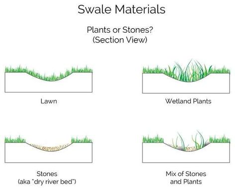 -  - Challenge Title: Stormwater Management Through Landscape Solutions Challenge Difficulty: Intermediate Estimated Time to Complete: 48 hours Required To... Check more at https://digitaldesignnow.com/design-challenge/stormwater-management-through-landscape-solutions/ Wetland Plants, Forest Creek, Landscape Drainage, Backyard Drainage, Naturalistic Garden, Yard Drainage, Stormwater Management, Dry River, Drainage Solutions