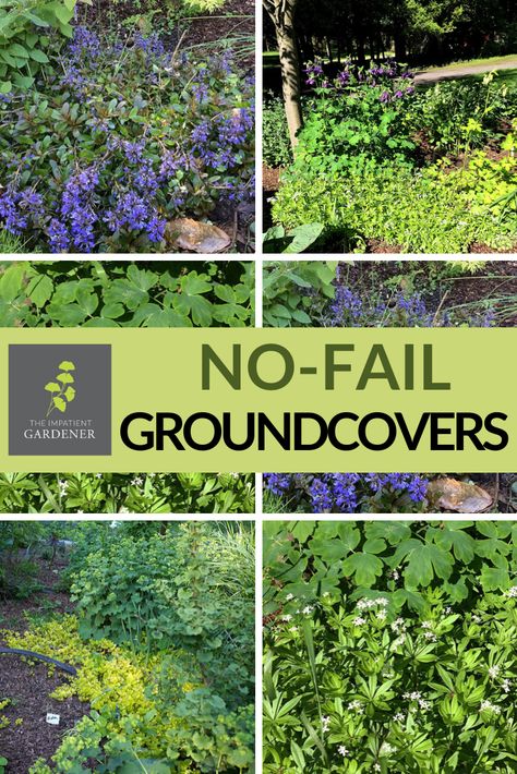 Ground Cover That Chokes Out Weeds, Mulch Alternative Ideas, Groundcover Landscaping, Mulch Yard, Mulch Alternatives, Leaf Mulch, Backyard Garden Diy, Pine Bark, Wheelbarrows