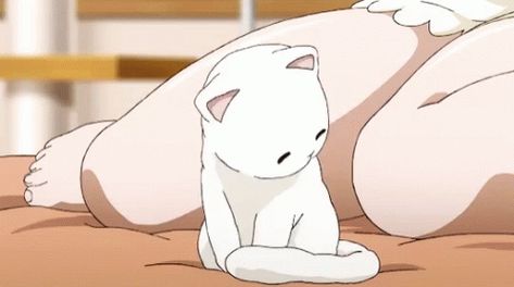 Pet Anime, Gato Anime, Animated Banners, Cute Banners, Gif Lucu, Banner Gif, Anime Gifs, Seni Origami, Anime Animals