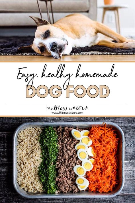 Dog Food Recipes With Lentils, Homemade Dog Food Labrador, Easy Cheap Homemade Dog Food, Oatmeal Dog Food Recipes, Cheap Homemade Dog Food, Easy Homemade Dog Food, Dog Food Recipes Crockpot, Human Grade Dog Food, Foods Dogs Can Eat