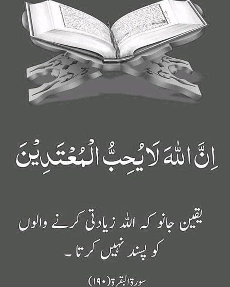 Quran Ayat, Quran Surah, Islamic Information, Muslim Love Quotes, Urdu Quotes With Images, Beautiful Quotes About Allah, Islamic Teachings, Beautiful Quran Quotes, Learn Islam