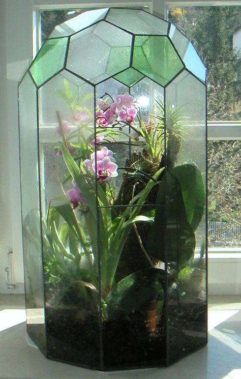 Stained glass terrarium house Vase Ecosystem, Victorian Terrariums, Terrarium House, Stained Glass Terrarium, Orchid Terrarium, Hanging Terrarium, Terrarium Containers, Smart Tiles, Hippie Homes