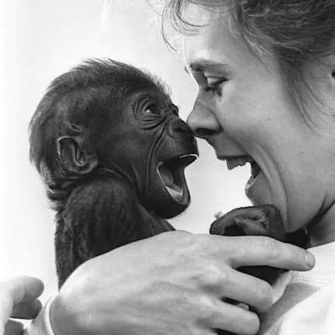 He recognises joy, love and sharing. - 9GAG Regard Animal, Baby Monkey, Primates, Funny Animal, Cuteness Overload, Animals Friends, Belle Photo, Beautiful World, Animal Photography