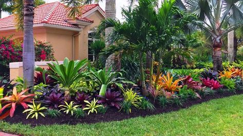 25+ Cheap Florida Backyard Landscape Ideas and Designs For 2022 Florida Plants Landscaping, Tropical Backyard Landscaping, Tropical Landscape Design, Florida Landscape, Florida Landscaping, Florida Plants, Tropical Garden Design, Tropical Backyard, Front Yard Garden Design