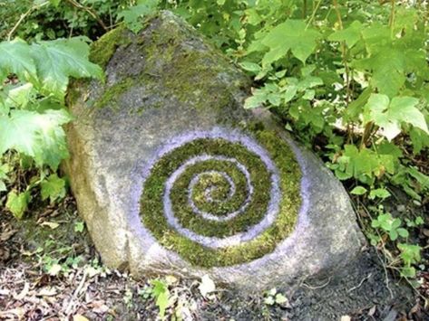 themarchingbeetle Le Vent Se Leve, Lev Livet, Mazzy Star, Land Art, Nature Aesthetic, Mother Earth, Pretty Pictures, In The Middle, Mother Nature